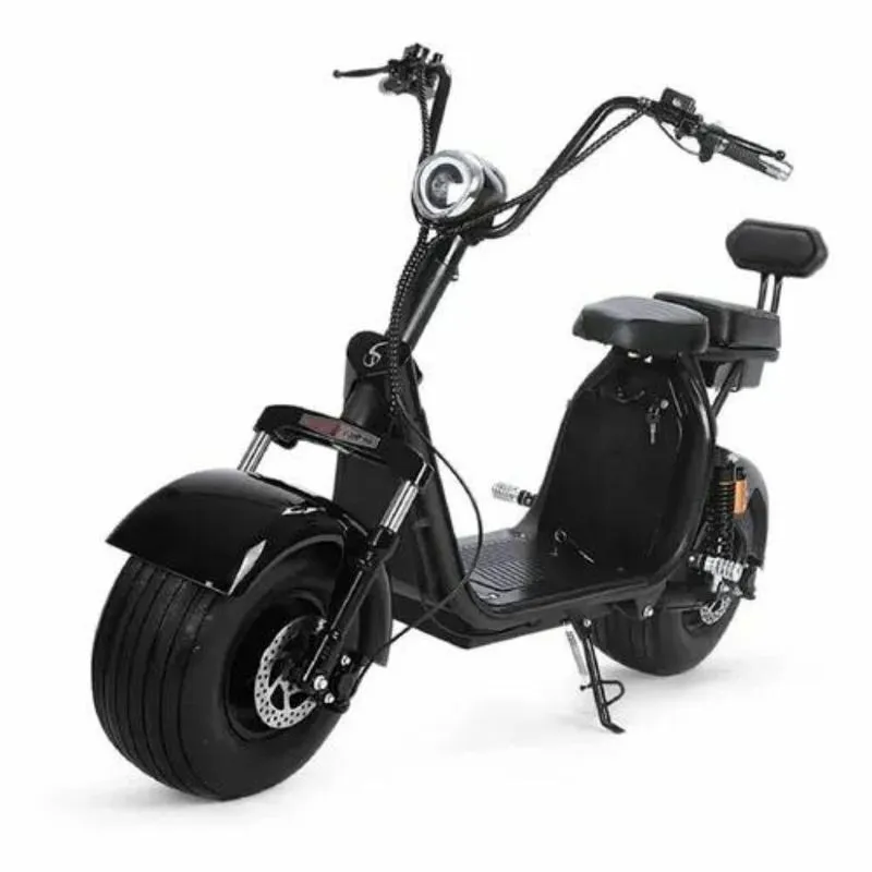Electric Scooter Citycoco V2